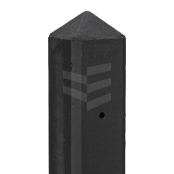 6272135.jpg